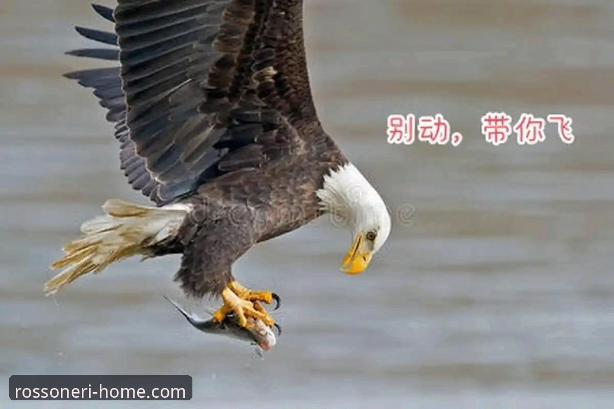 尼克斯狂胜老鹰晋级的5大关键看点，米兰官网带你回顾经典战役